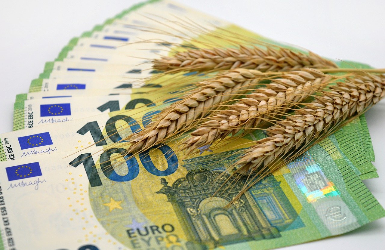 Какво очаква цените на пшеницата през 2024?
